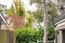 PARDON MY TREE (Image 22)