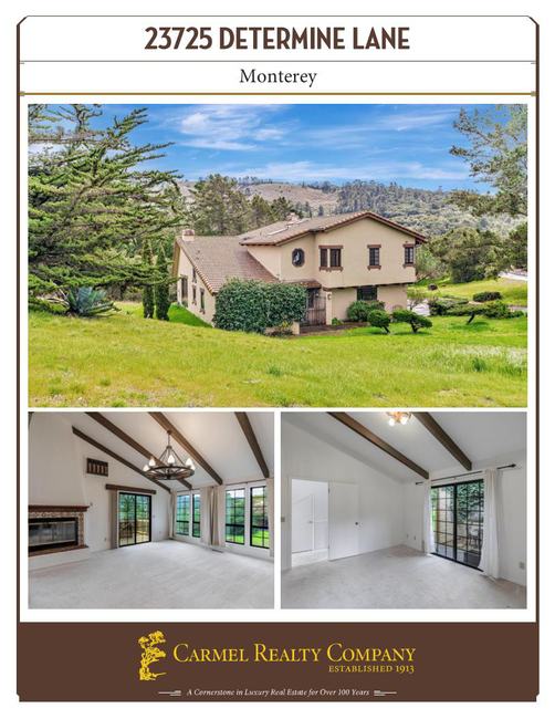 Property Flyer