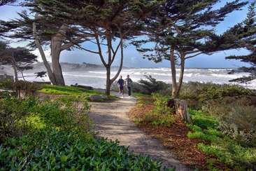 Image about Carmel's Scenic Bluff Path
