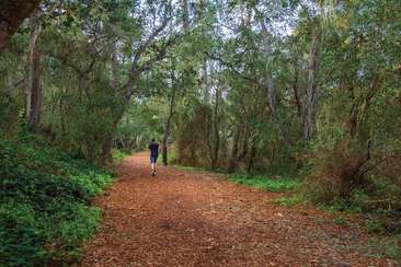 Image about Carmel's Mission Trail Nature Preserve