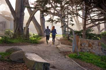 Image about Carmel's Scenic Bluff Path