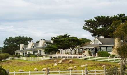 Image about Meadowview Triplex