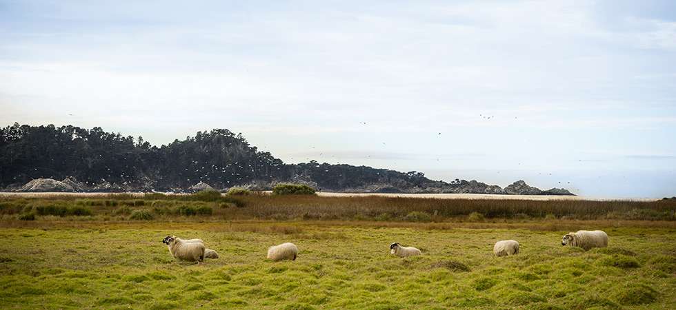 Image about Mission Ranch Hotel and Restaurant