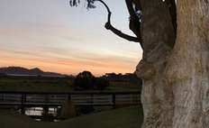 Image property 24