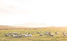Image about Mission-Ranch-Wedding-Photographer-127-X2