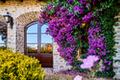 Tehama Estate thumbnail photo #40