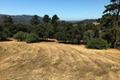 12 Alta Madera thumbnail photo #2