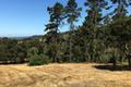 12 Alta Madera thumbnail photo #3