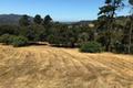 12 Alta Madera thumbnail photo #4