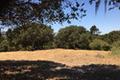 12 Alta Madera thumbnail photo #5