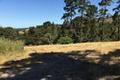 12 Alta Madera thumbnail photo #6