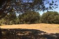 12 Alta Madera thumbnail photo #9