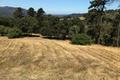 12 Alta Madera thumbnail photo #10