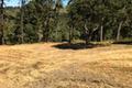 12 Alta Madera thumbnail photo #11