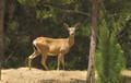 12 Alta Madera thumbnail photo #20