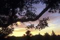 12 Alta Madera thumbnail photo #21