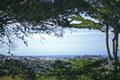 8345 Vista Monterra (Lot 151) thumbnail photo #2