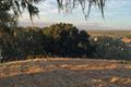 8345 Vista Monterra (Lot 151) thumbnail photo #6