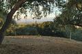 8345 Vista Monterra (Lot 151) thumbnail photo #7