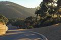 8345 Vista Monterra (Lot 151) thumbnail photo #8