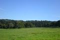 Via Malpaso (Lot 94) thumbnail photo #3