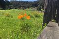 8315 Vista Monterra thumbnail photo #6