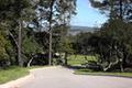 7745 Paseo Venado thumbnail photo #3