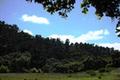 7745 Paseo Venado thumbnail photo #4
