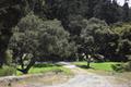 7745 Paseo Venado thumbnail photo #6
