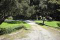 7745 Paseo Venado thumbnail photo #7