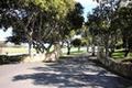 7745 Paseo Venado thumbnail photo #12