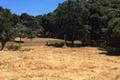 8375 Monterra Views (Lot 155) thumbnail photo #5