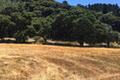8375 Monterra Views (Lot 155) thumbnail photo #6