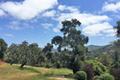 7572 Paseo Vista Place (Lot 52) thumbnail photo #4