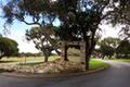 7572 Paseo Vista Place (Lot 52) thumbnail photo #5