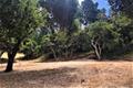 7830 Monterra Oaks Road (Lot 104) thumbnail photo #3