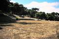 7599 Paseo Vista (Lot 75) thumbnail photo #1