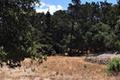 7599 Paseo Vista (Lot 75) thumbnail photo #2