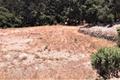 7599 Paseo Vista (Lot 75) thumbnail photo #3