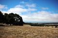 7599 Paseo Vista (Lot 75) thumbnail photo #4
