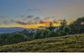 25600 Via Malpaso ( Lot 84) thumbnail photo #1