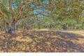 25600 Via Malpaso ( Lot 84) thumbnail photo #16