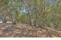 25600 Via Malpaso ( Lot 84) thumbnail photo #17