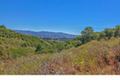 25600 Via Malpaso ( Lot 84) thumbnail photo #22
