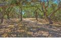 25600 Via Malpaso ( Lot 84) thumbnail photo #24