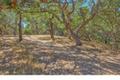 25600 Via Malpaso ( Lot 84) thumbnail photo #25