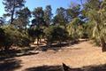 24262 Via Malpaso (Lot 28) thumbnail photo #1