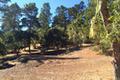 24262 Via Malpaso (Lot 28) thumbnail photo #2