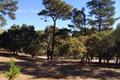 24262 Via Malpaso (Lot 28) thumbnail photo #3