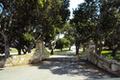 24262 Via Malpaso (Lot 28) thumbnail photo #8